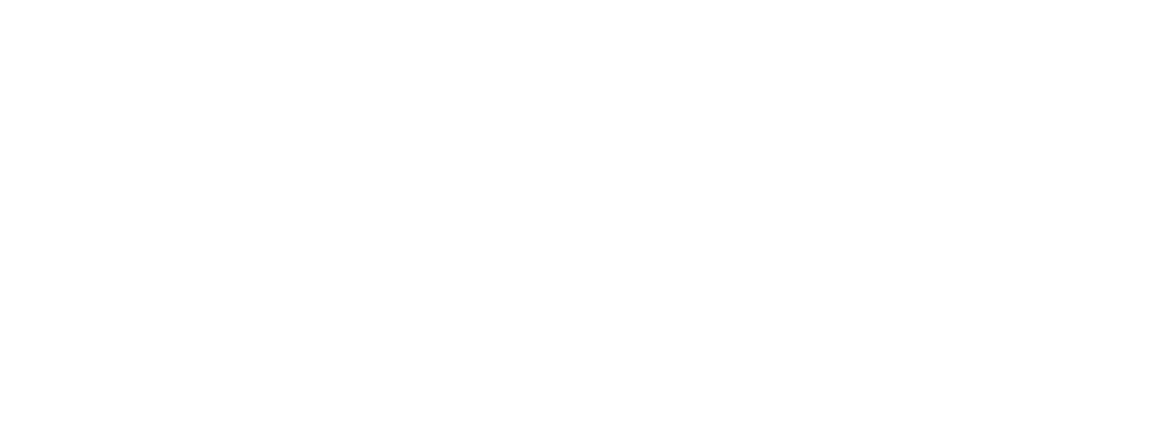 Dynamic Visual Media