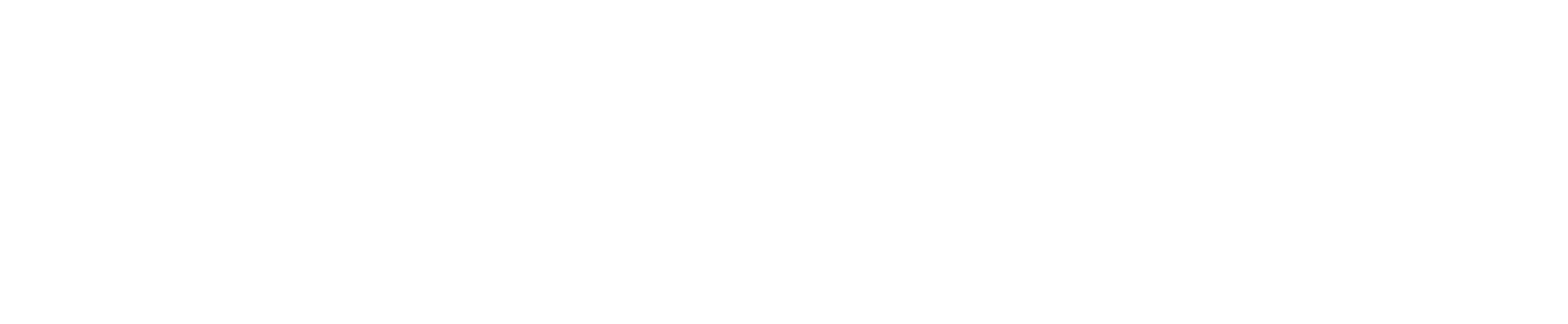 Iron Revolution